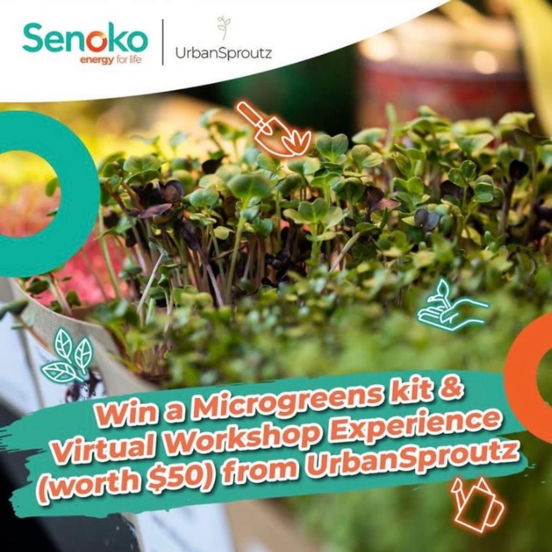 Senoko partner campaign